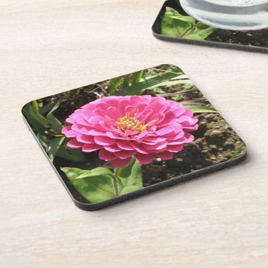 Pink Zinnia Cork Untersetzer (Linke Seite)