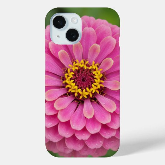 Pink zinnia - floral Case-Mate iPhone hülle (Rückseite)