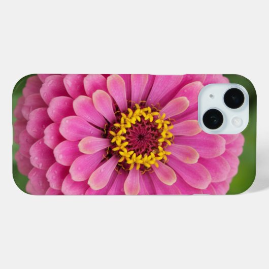 Pink zinnia - floral Case-Mate iPhone hülle (Rückseite (Horizontal))