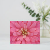 Pink Zinnia Flower Postcard Postkarte (Stehend Vorderseite)