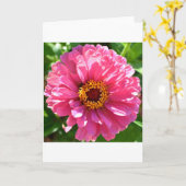 Pink Zinnia Karte (Gelbe Blume)