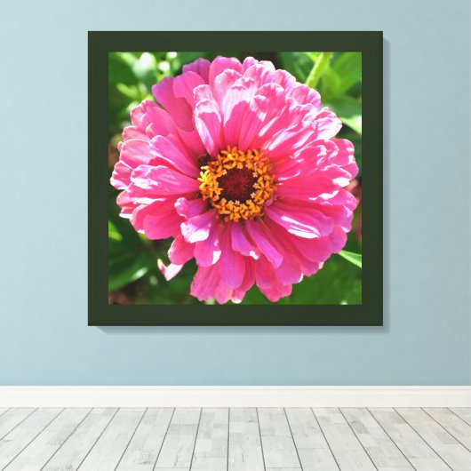 Pink Zinnia Leinwanddruck (Insitu (Holzboden))