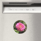 Pink Zinnia Magnet (In Situ (Geschirrspüler))