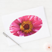 Pink Zinnia Ovaler Aufkleber (Umschlag)