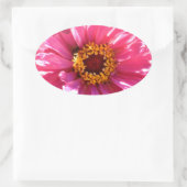 Pink Zinnia Ovaler Aufkleber (Tasche)