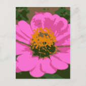 Pink Zinnia Postkarte (Vorderseite)