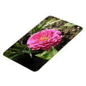 Pink Zinnia Premium Magnet (Linke Seite)