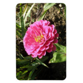 Pink Zinnia Premium Magnet (Vertikal)