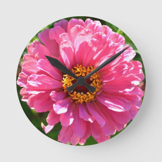 Pink Zinnia Runde Wanduhr (Vorderseite)