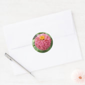 Pink Zinnia Runder Aufkleber (Umschlag)