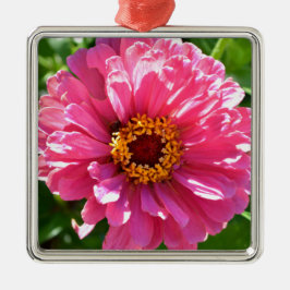 Pink Zinnia Silbernes Ornament