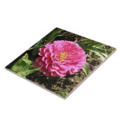Pink Zinnia Tile Fliese (Seite)
