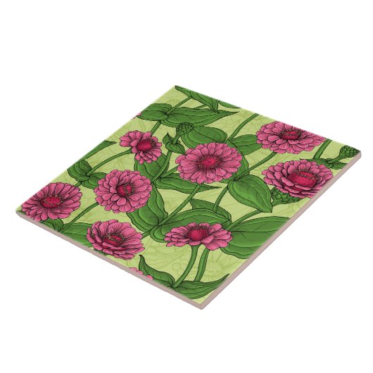 Pink Zinnias auf hellgrün Fliese (Seite)