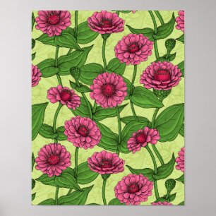 Pink Zinnias auf hellgrün Poster