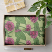 Pink Zinnias auf hellgrün Seidenpapier (Geschenk)