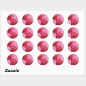 Pinkalicious Stickers (Blatt)
