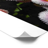 Pinkbälle Poster (Ecke)