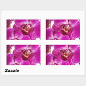 Pinkdendrobium-Orchidee - Orchideen-Hintergrund Rechteckiger Aufkleber (Blatt)