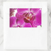Pinkdendrobium-Orchidee - Orchideen-Hintergrund Rechteckiger Aufkleber (Tasche)