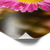 Pinke Blumen Fotodruck (Ecke)