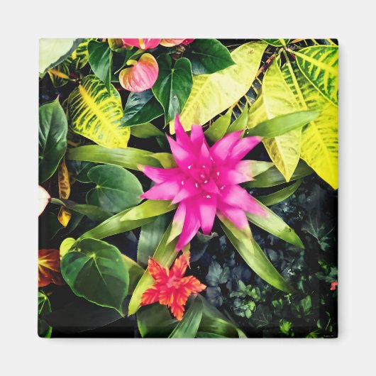 Pinke Blumen Magnet (Vorne)