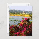 Pinke Blumen Postkarte (Vorne/Hinten)