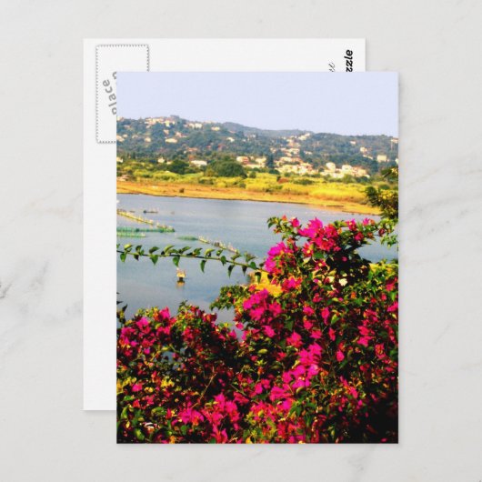 Pinke Blumen Postkarte (Vorne/Hinten)