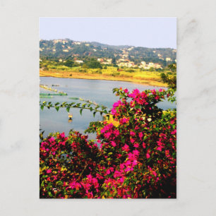 Pinke Blumen Postkarte