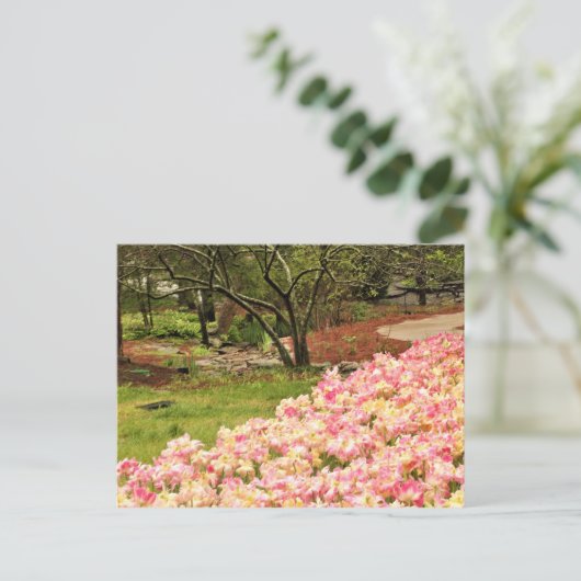 pinke blumen postkarte (Stehend Vorderseite)