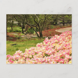 pinke blumen postkarte
