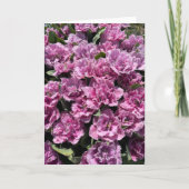 Pinke, Fingerhüfte, Mitteilungskarten (Vorderseite)