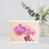 Pinke Orchidee Postkarte (Stehend Vorderseite)