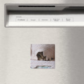 Pinkeln des Magneten von Tom Magnet (In Situ (Geschirrspüler))