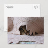 Pinkeln Tom auf Postkarte (Vorne/Hinten)
