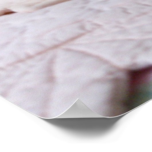 Pinkeln von Tom Poster (Ecke)