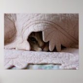 Pinkeln von Tom Poster (Vorne)