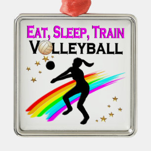 PINKEN ESSEN, SCHLAFEN, TRAGVOLLEYBALL SILBERNES ORNAMENT