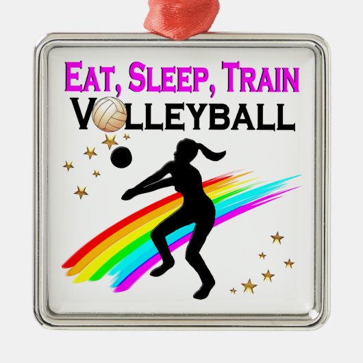 PINKEN ESSEN, SCHLAFEN, TRAGVOLLEYBALL SILBERNES ORNAMENT (Vorne)