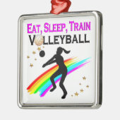 PINKEN ESSEN, SCHLAFEN, TRAGVOLLEYBALL SILBERNES ORNAMENT (Links)