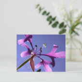 PINKFAIRIES POSTKARTE (Stehend Vorderseite)