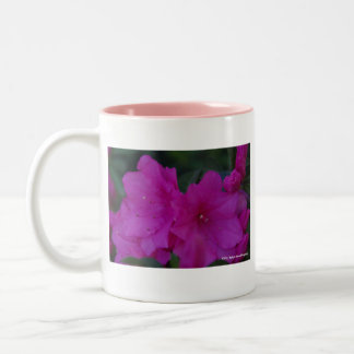 Pinkfarbene Azaleen-Tasse Zweifarbige Tasse
