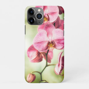 Pinkfarbene Orchidee iPhone 11Pro Hülle
