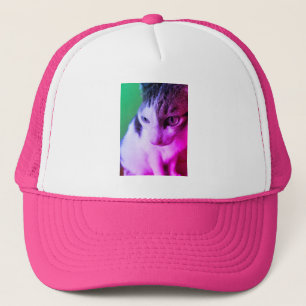 Pinkfarbene psychedelische Tabbykatze hat rosa und Truckerkappe