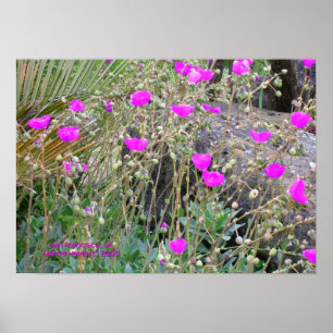 Pinkfarbene Schriftstücke drucken - Wählen Sie Ihr Poster