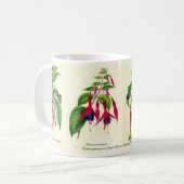 Pinkfarbene Spezies von Joseph Paxton Kaffeetasse (Vorderseite Links)