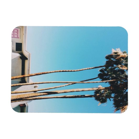 Pinkfarbene Tür der Palmsprings Magnet (Horizontal)