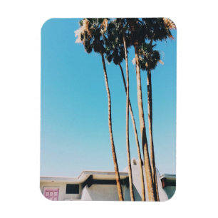 Pinkfarbene Tür der Palmsprings Magnet