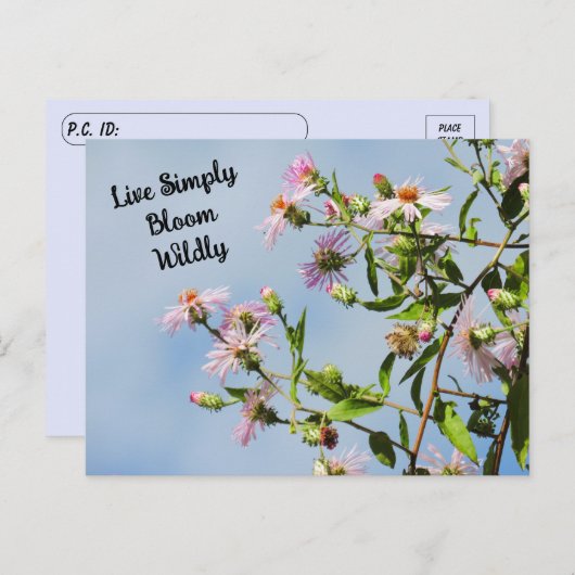 Pinkfarbene Wildblume über blaues Zitat verschiebe Postkarte (Vorne/Hinten)