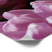 Pinkfarbener Bouquet mit lila aster Blume im Licht Poster (Ecke)