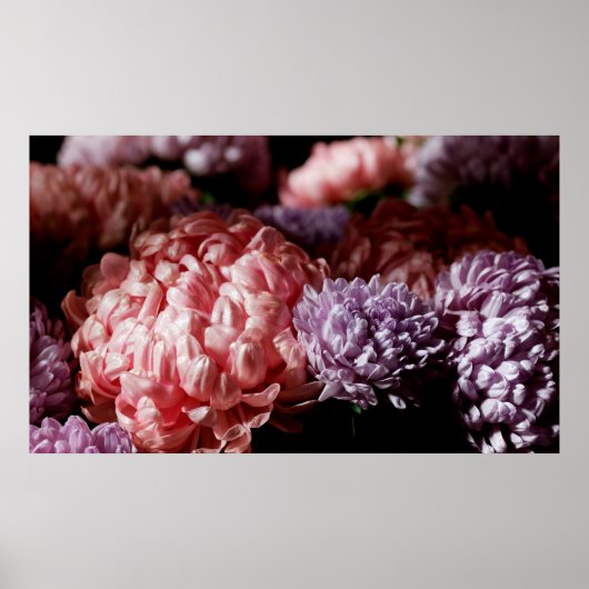 Pinkfarbener Bouquet mit lila aster Blume im Licht Poster (Vorne)